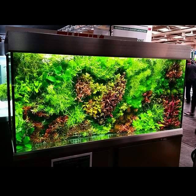 background planted aquarium heart