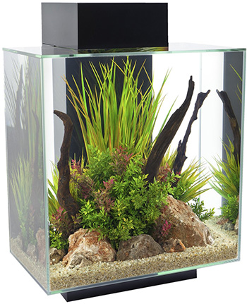 350-fluval-edge-12-gallon