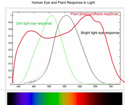 PlantLightResponse-1