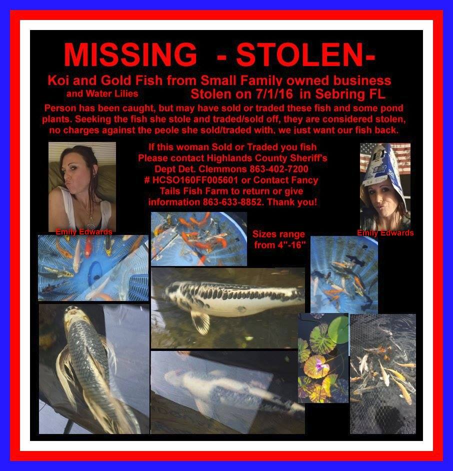 Fancy Tails Fish Farm Theft Flyer 2016-08-08