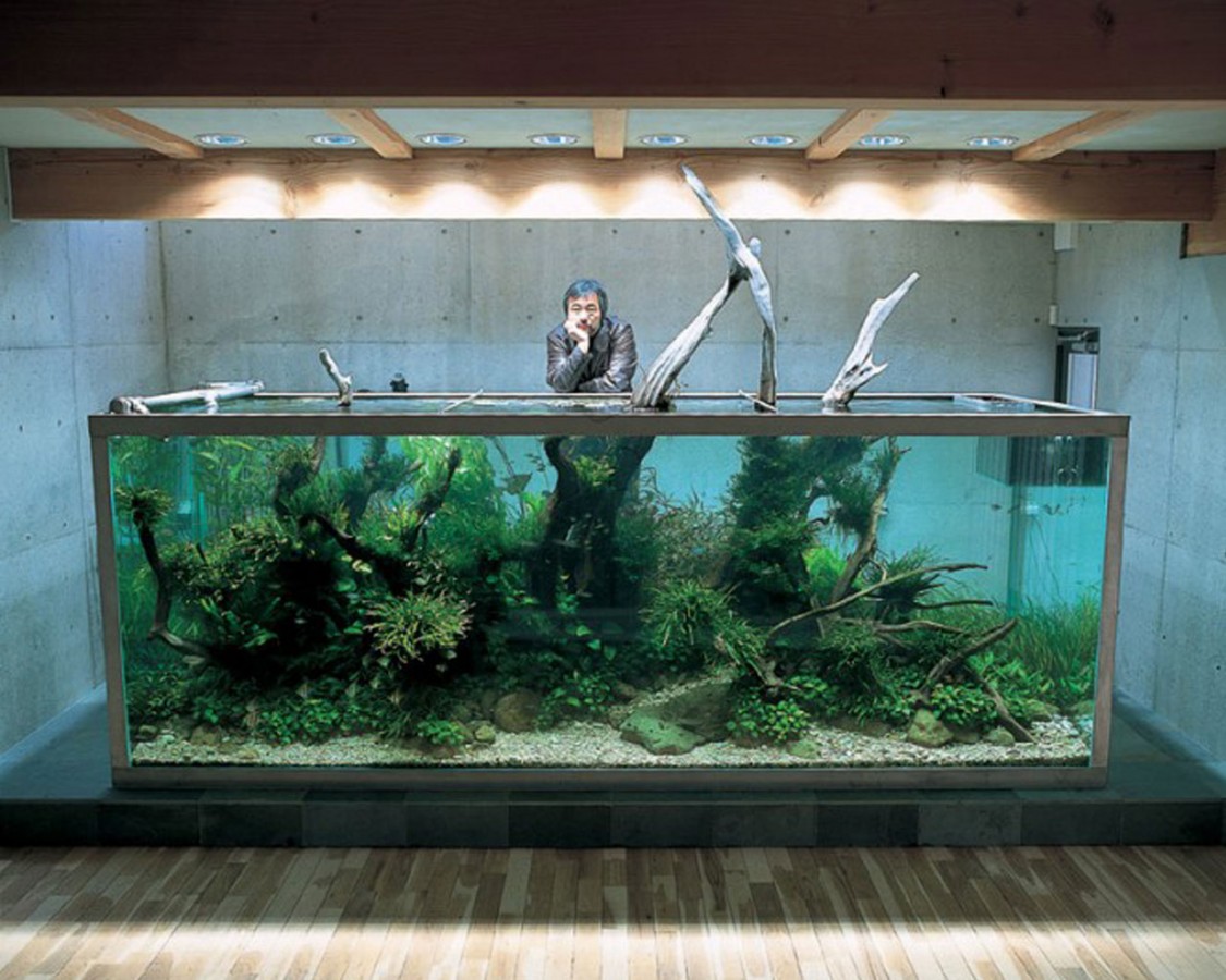 "Nature Aquarium" by Takashi Amano