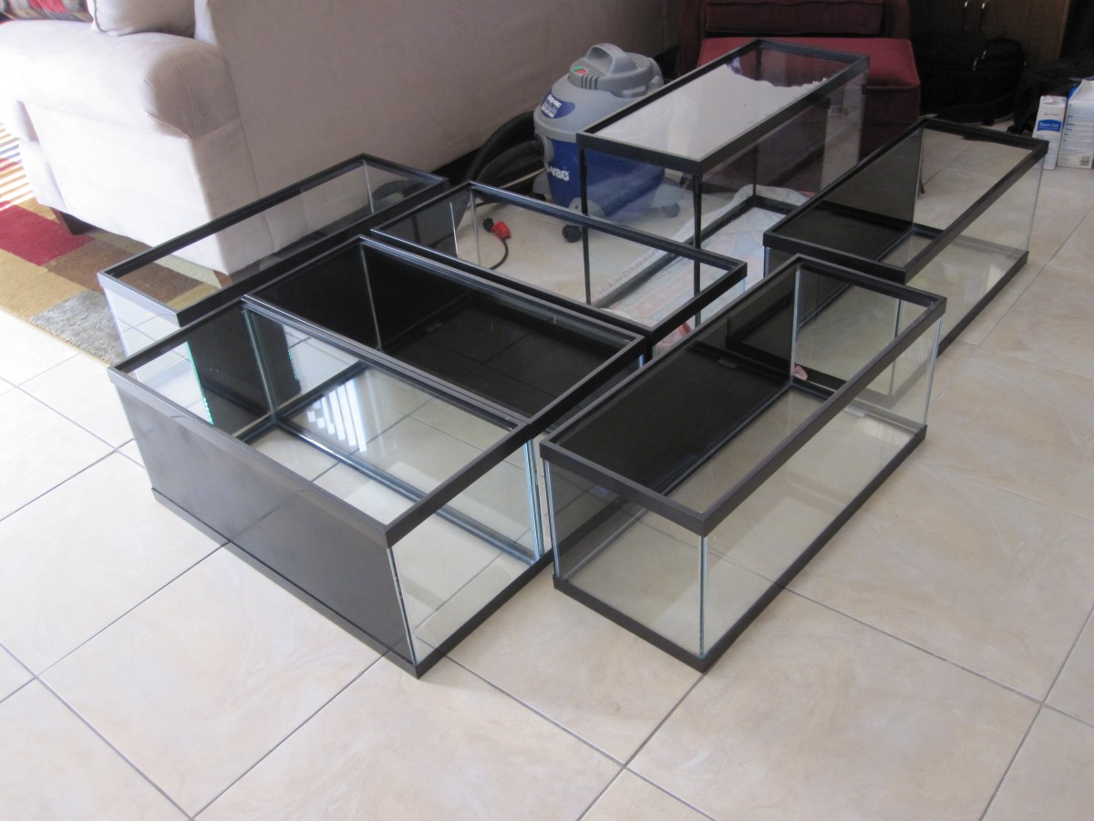 Build your own Rack for Multiple Aquariums