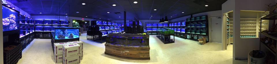 Fish Gallery, The Woodlands, Spring, Texas